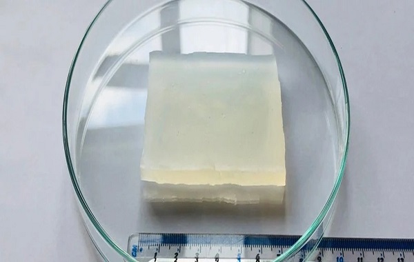 New Super Jelly Is 80 Percent Water And Can Survive Being Run Over by a Car