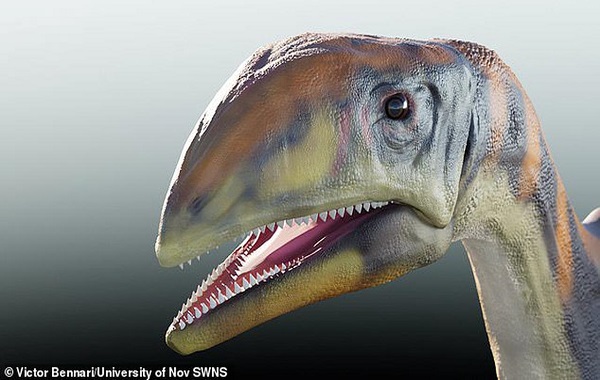 Meet Cold Bone Newly-discovered dinosaur that was 13ft long, weighed up to a tonne and was an ancient ancestor to diplodocus is found in Greenland