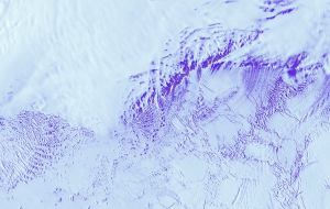 150.000 Yıllık Kriyosferde Bulunan Bir Maya, Etanol Üreterek Hayatta Kaldı