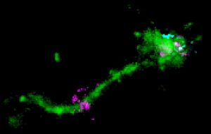 Catch Me if You Can: Scientists Discover How mRNA Therapeutics Are Delivered Into Cells