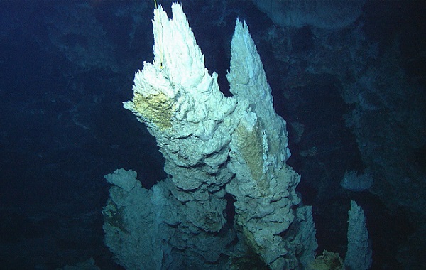 Dünyada Yaşam Nasıl Başladı? Yaşamın Enerjisi Yaşamın Kendisindedir