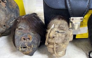 İzmirde Amazon Yerlilerinin Küçülttüğü Gerçek İnsan Kafaları Ele Geçirildi