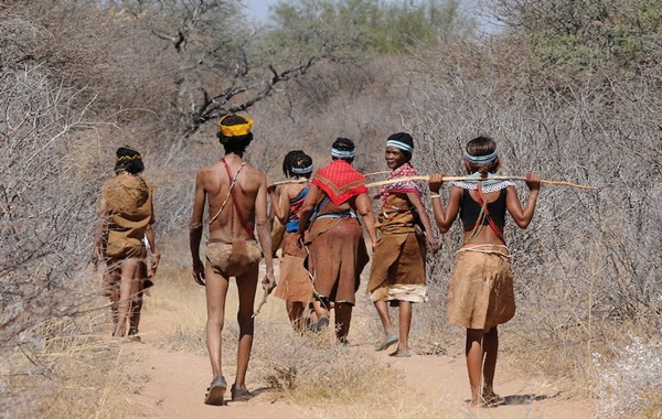 İnsanlar Besin Zincirinin