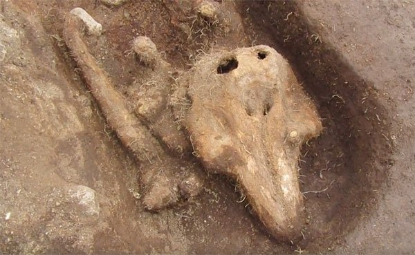 İzole Bir Orta Çağ Mezarlığında Oldukça Tuhaf Bir Ceset Bulundu