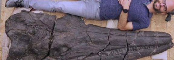 Dünyanın İlk Dev Sürüngenine Ait 246 Milyon Yıllık Bir Fosil Bulundu