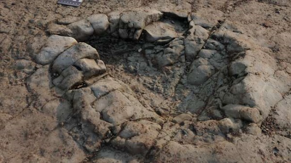 Sahildeki İzlerin 200 Milyon Yıllık Dinozor Ayak İzleri Olduğu Ortaya Çıktı