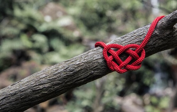 Yapay Zeka 40 Yıldır Çözülemeyen Düğüm Bulmacasını Neredeyse Çözdü