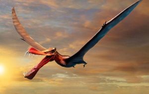 Avustralyada Yaşamış