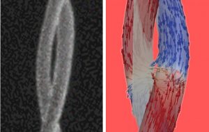 New Double Helixes Store Magnetic Information in Three Dimensions