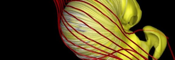 A Breakthrough Study Reveals How Our Sun s Heliosphere Is Shaped by the Universe