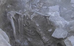 3600 Yıl Önce Türkiyede Yaşanan "Tsunami"de Ölen Bir Adamın İskeleti Ortaya Çıktı