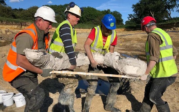 Taş Ocağında Altın Değerinde, 200.000 Yıllık Mamut Mezarlığı Bulundu