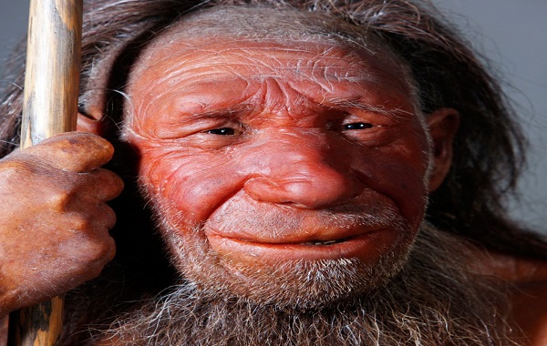 Neanderthals changed ecosystems 125,000 years ago