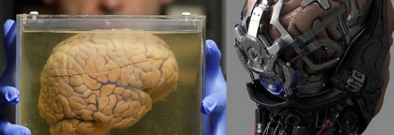 İnsan Beynini Robota Yüklemeyi Planlayan Çılgın Proje