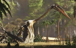 12 Metrelik Kanat Açıklığıyla Dünyanın En Büyük Uçan Hayvanının Nasıl Uçtuğu Tespit Edildi