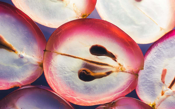 Üzüm Çekirdeğindeki Mucizevi Bir Kimyasalın, Yaşlanmayı 9 Kat Geciktirdiği Bulundu