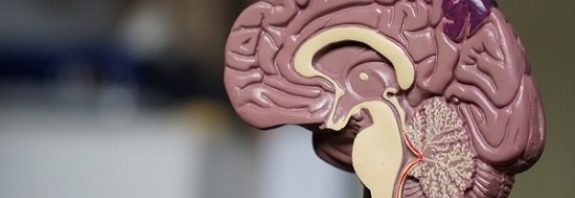 Mysterious Brain Tsunamis Occuring Moments Before Death Observed in Humans