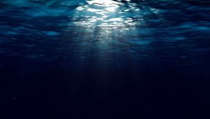 Okyanus Kurallarını Çiğneyen Mikroplar, Güneş Olmadan Oksijen Üretebiliyor