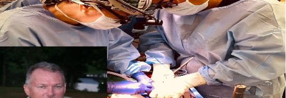 Surgeons successfully transplant two PIG KIDNEYS into brain dead Alabama man - two weeks after Maryland man received a pig's heart