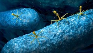 Bir Hastanın Bacağındaki İrin Antibiyotikle İki Yılda Kurumayınca Deneysel Bir Tedavi İşe Yaradı