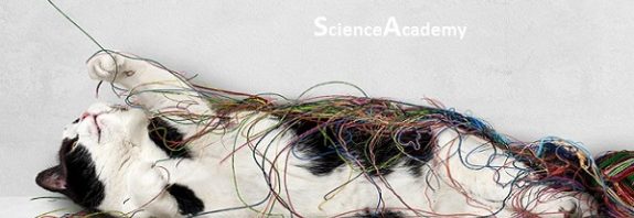 Untangling Quantum Entanglement