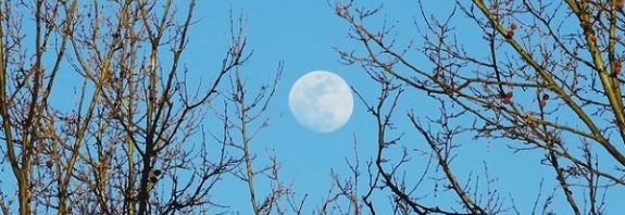 NASAdan Bir Bilim İnsanına Sorduk: Ay'ı Neden Gündüz Görebiliyoruz?