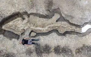 Archaeology breakthrough as biggest-ever dinosaur fossil found in UK ‘truly unprecedented'