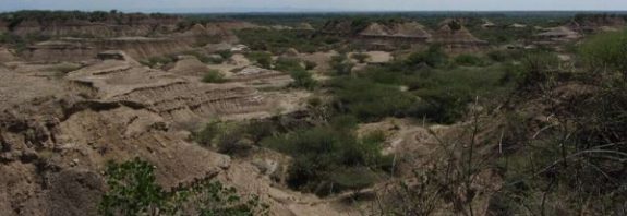 Earliest human remains in eastern Africa dated to more than 230,000 years ago