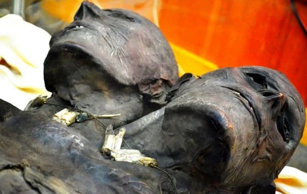 Devlerle İlgili Masallar Gerçek miydi? İki Başlı Dev Kap Dw