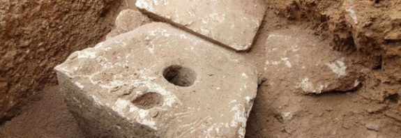 Antik Tuvaletteki Bağırsak Kurdu Yumurtalarının 2.700 Yıl Hayatta Kaldığı Keşfedildi