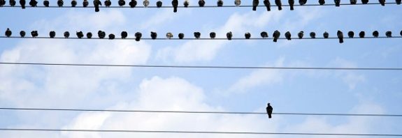 Gezegendeki Gelmiş Geçmiş En Yalnız 10 Varlık