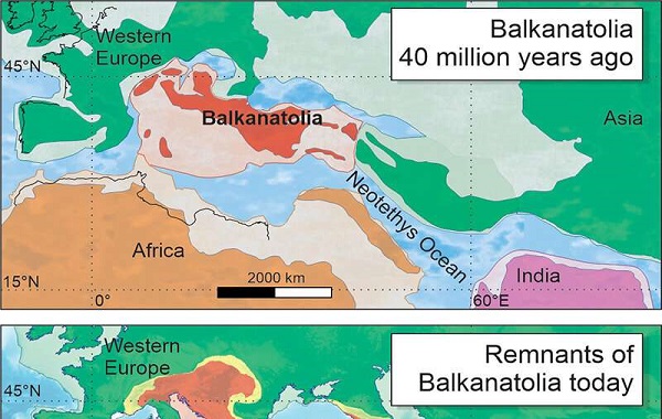 Balkanatolia: The forgotten continent that sheds light on the evolution of mammals