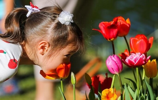 Humans May Be Slowly Losing Their Sense of Smell, New Study Hints