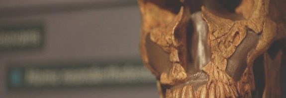 Neanderthal extinction not caused by brutal wipe out