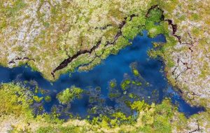 Arktik Donmuş Topraklarının