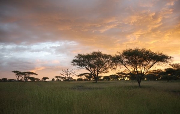 İnsan Türü Hiç Var