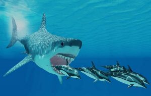 It’s Official: New Study Shows We Have No Idea What Megalodon Really Looked Like