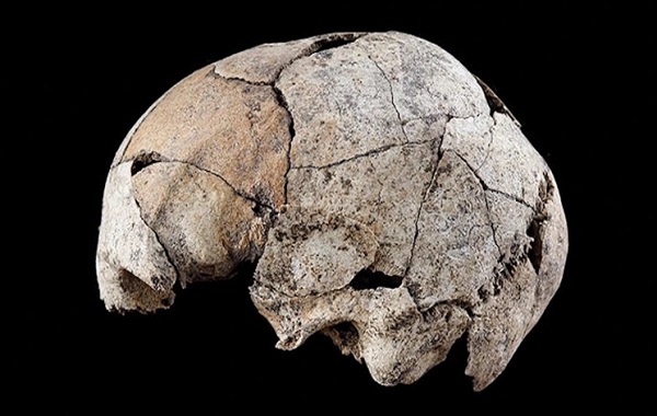 An ancient skull hints at the first ear surgery, 5,300 years ago