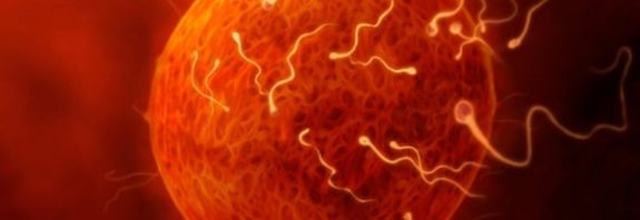 Hava Kirliliğinin Sperm