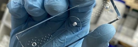 Çip Üzerindeki Minik Solucanlar Kanserli Akciğer Hücrelerini Koklayarak Buldu