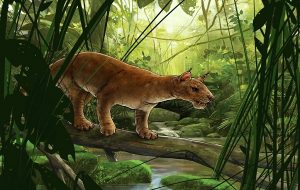 New Sabre-Tooth Predator Discovered That Precedes Cats by Millions of Years