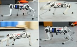 İnanılmaz Seri ve Hızlı Hareketleriyle "Robot Çita" Görenleri Şaşırtıyor