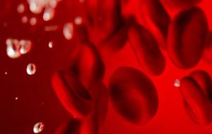 It s Official Microplastics Were Found Circulating in Human Blood For The First Time