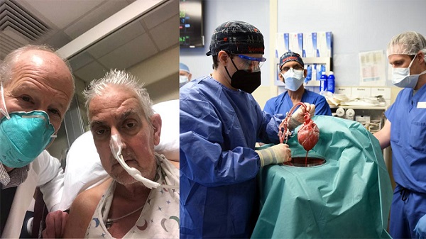 İlk Kez Domuz Kalbi Nakli Yapılan Hasta Öldü: