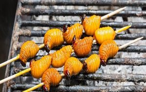 Böcekler Geleceğin