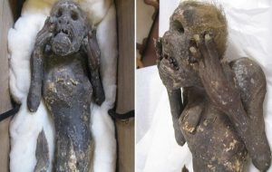 Bizarre 300-Year-Old Mummified 'Mermaid' Can Finally Be Explained