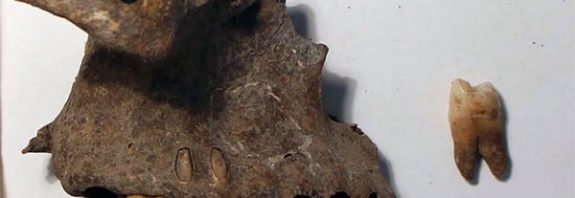 Portekizde 8.000 Yıllık