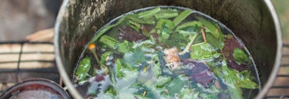 Inca Child Sacrifice Victims Drank "Anti-Depressant" Ayahuasca Before Death