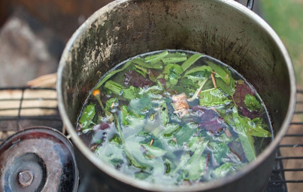 Inca Child Sacrifice Victims Drank "Anti-Depressant" Ayahuasca Before Death