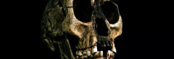 Human hobbit ancestor may be hiding in Indonesia, new controversial book claims